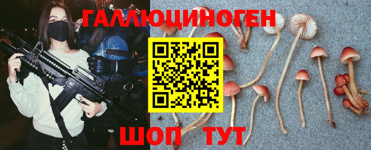 Галлюциногенные грибы MAGIC MUSHROOMS  Псилоцибиновые грибы мухоморы  дарнет шоп  Сызрань  Вход с VPN 