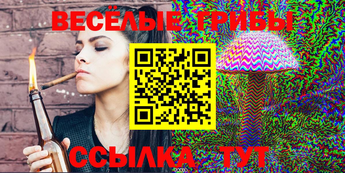 Галлюциногенные грибы Psilocybine cubensis Сызрань