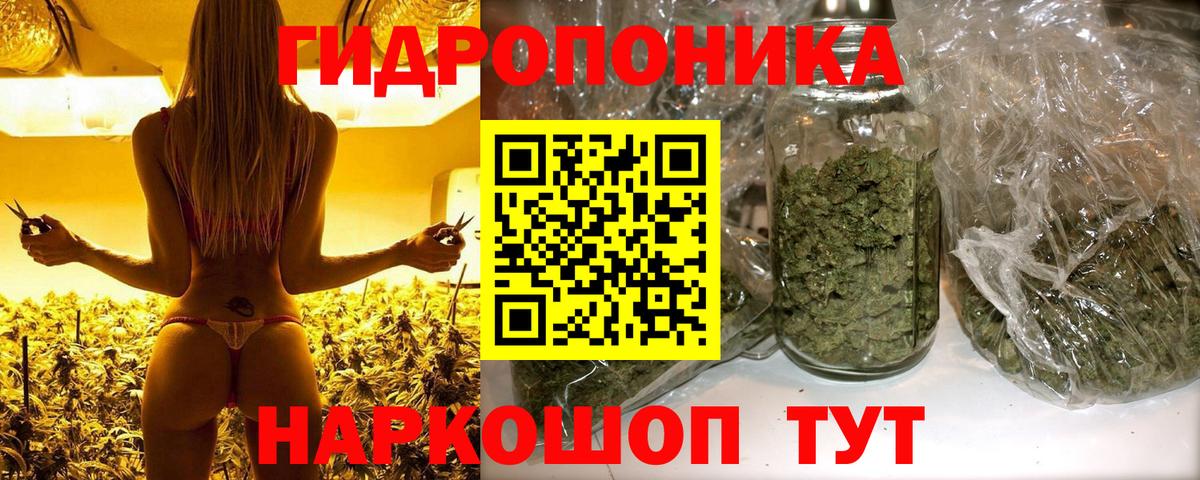 Шишки марихуана семена  Вход с VPN  Канабис Amnesia  Сызрань 